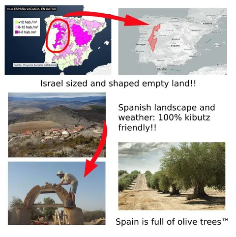 Spain Is Full of Olive Trees