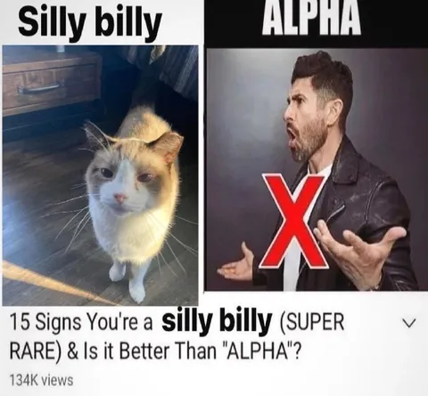 Silly Billy Versus Alpha