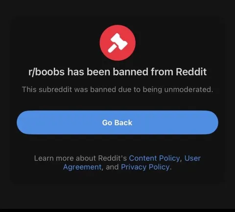 r/boobs Banned from Reddit
