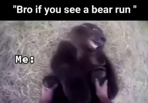 Bro If You See a Bear Run