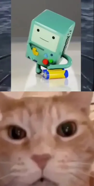 Кот наблюдает за BMO