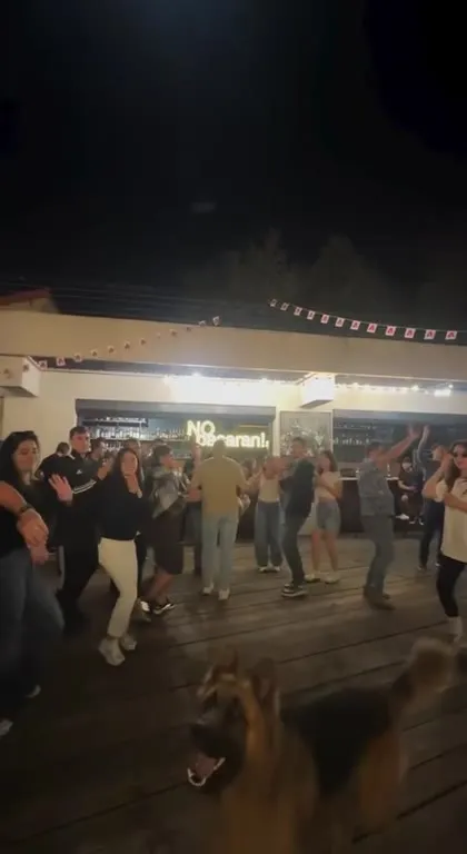 Perro se une a la fiesta
