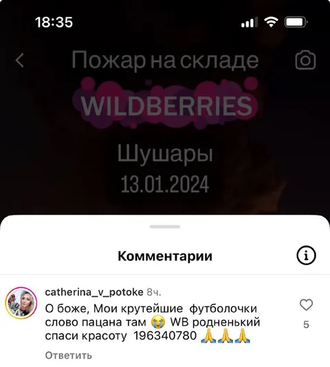 Крутейшие футболочки с Wildberries