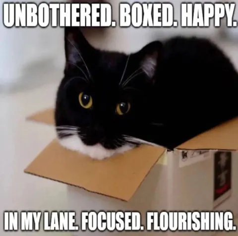 Unbothered Boxed Happy Cat