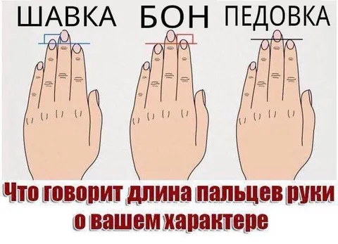 Длина пальцев и характер