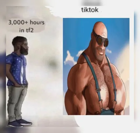 3000 Hours in TF2