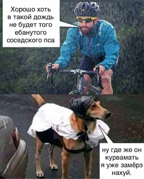 Замёрзший соседский пёс