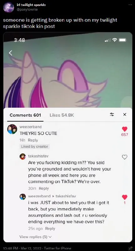 Twilight Sparkle TikTok breakup