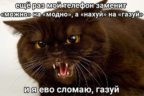 Кот ломает телефон