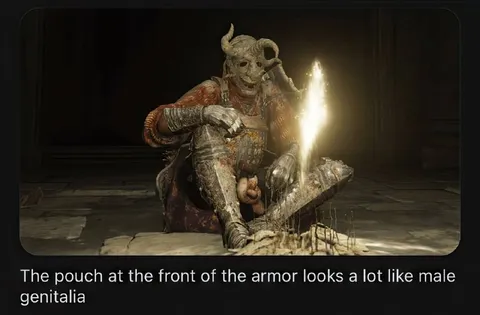 Armor Pouch Looks Like Male Genitalia