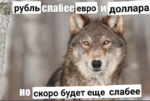 Рубль скоро будет ещё слабее