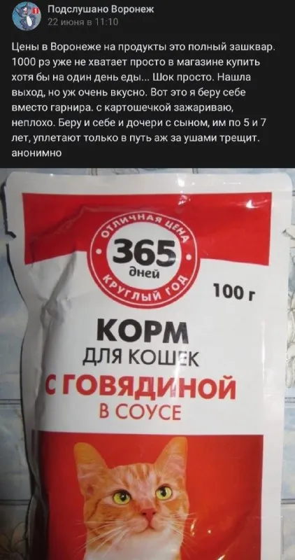 Корм для кошек вместо гарнира