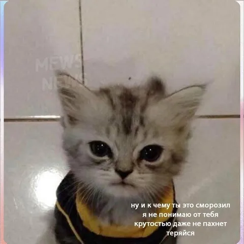 Крутостью даже не пахнет