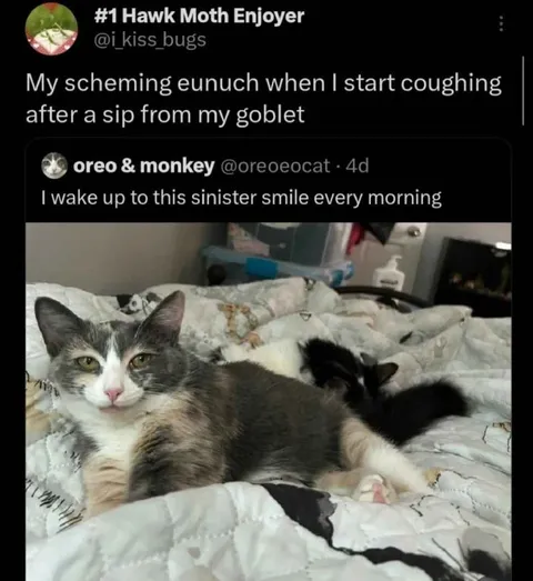 Sinister Cat Smile Every Morning