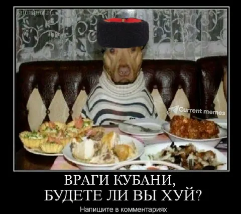 Враги кубани