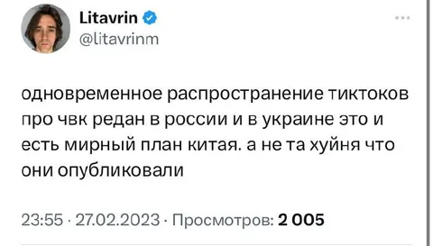 Мирный план Китая по тиктокам