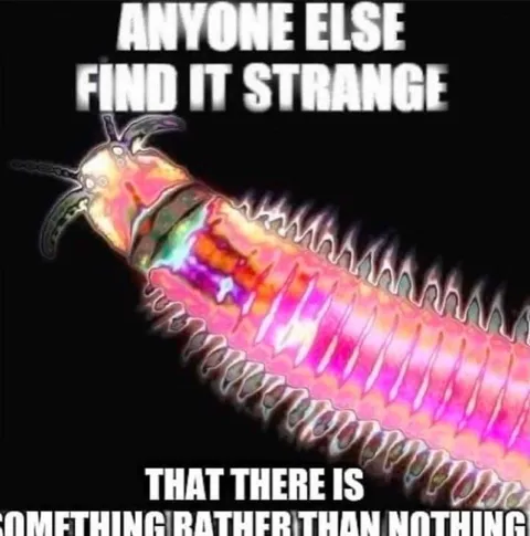 Something Rather Than Nothing