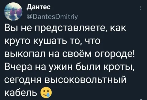 Ужин с огорода: кроты и кабель
