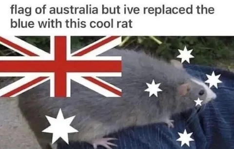 Australian Flag Rat Remix
