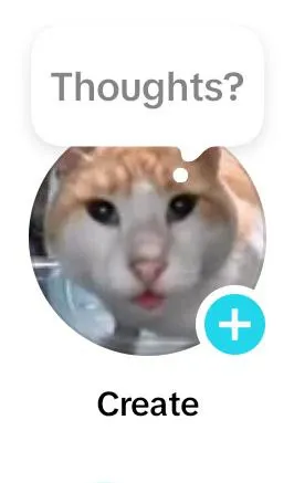 Cat Thoughts Create Screen