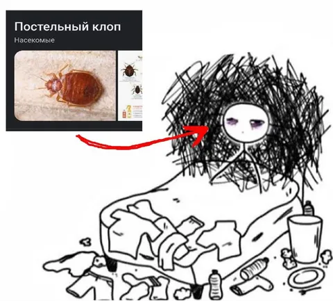 Постельный клоп и депрессия
