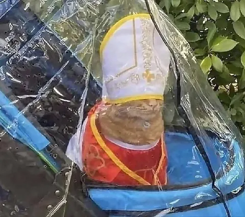 Странный предмет в пакете