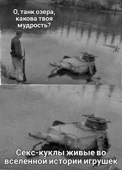 Мудрость танка озера