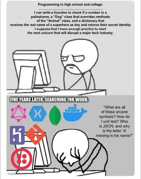 Programming Skills Versus Job Reality