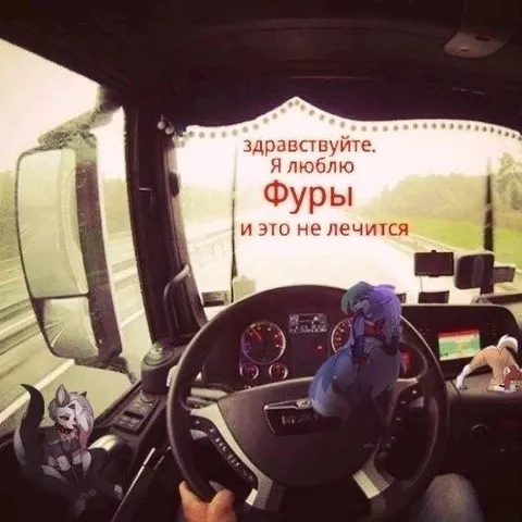 Я люблю фуры и это не лечится