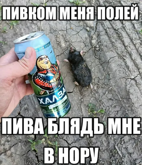 Пивом меня полей