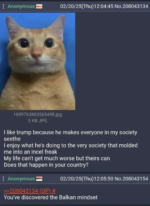 Balkan Mindset Cat Post