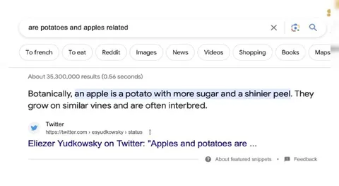 Apples Are Fancy Potatoes