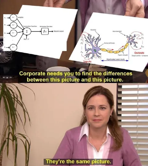 They're the Same Picture