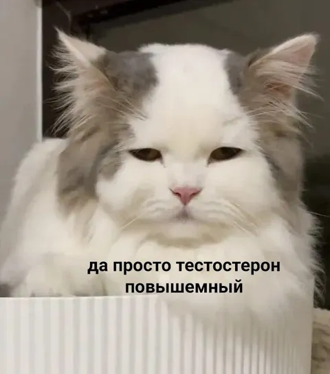 Тестостерон повыше