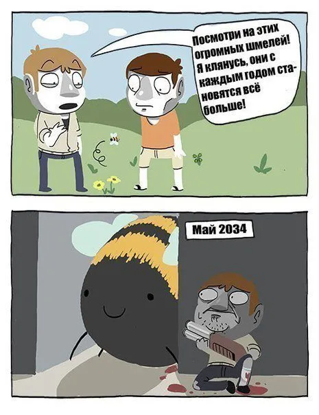 Огромный шмель в мае 2034