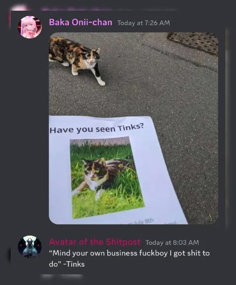 Cat Has Shit to Do
