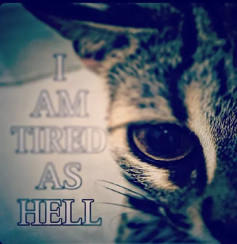 I Am Tired as Hell Cat