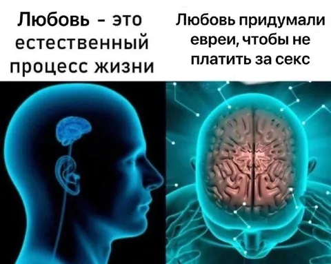 Любовь как естественный процесс