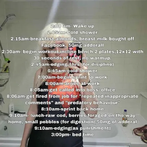 Unhinged Daily Discipline Schedule