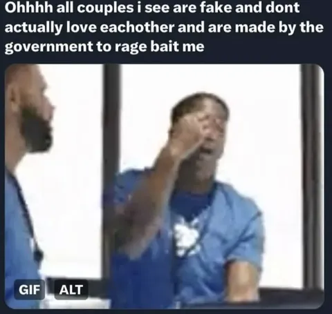 Government-Made Fake Couples