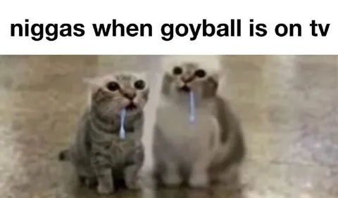 Cats Watching Goyball on TV