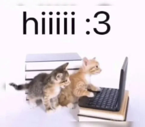Cute Cats Say Hiiiii