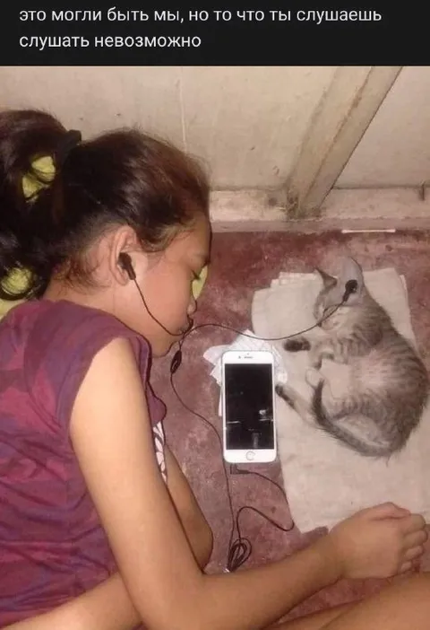 Это могли быть мы