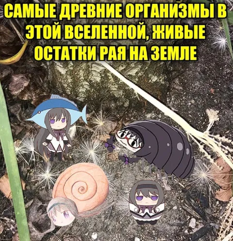 Древнейшие организмы этой вселенной