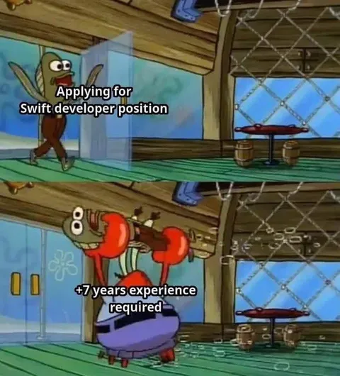 Swift Developer Experience Requirements