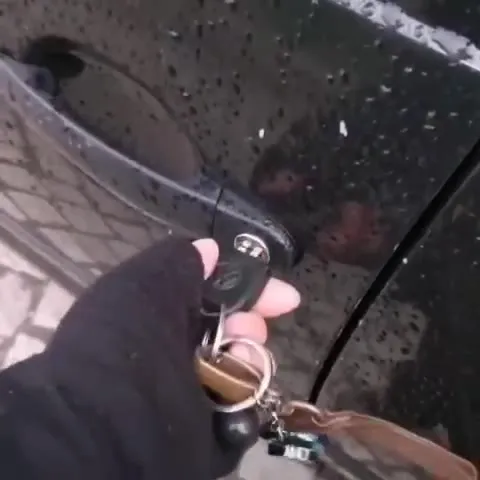 Volkswagen Das Auto