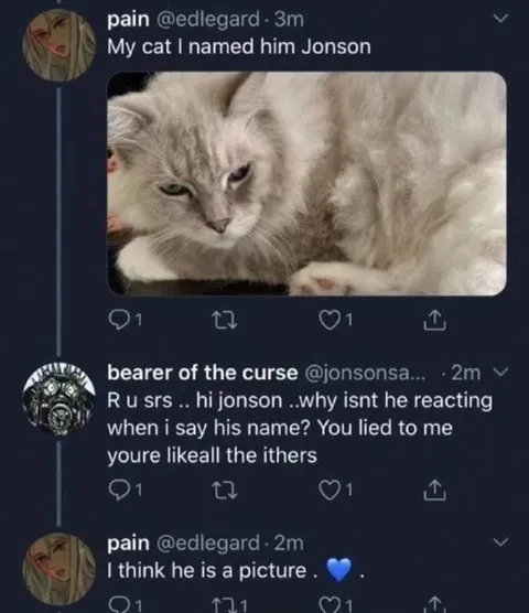 My Cat Is a Picture
