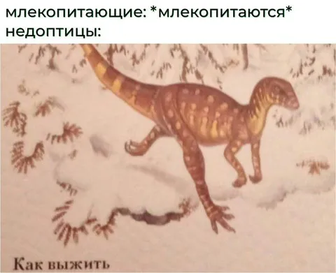 Млекопитающиеся недоптицы