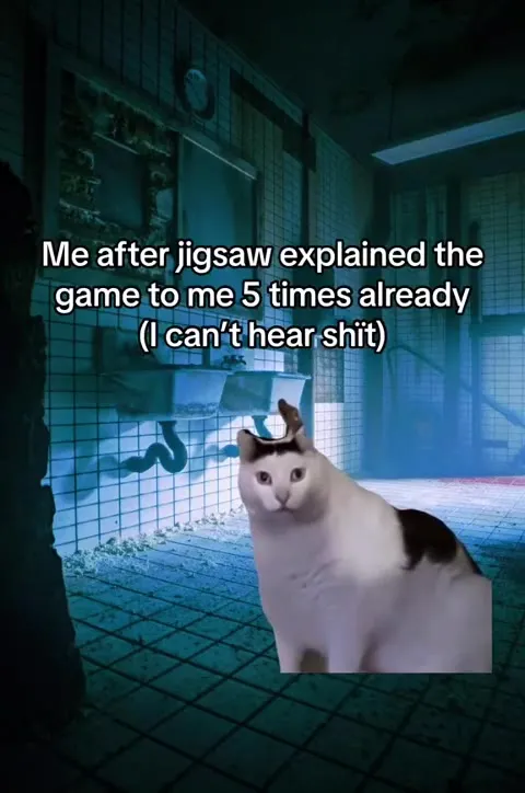 Cat Can’t Hear the Explanation
