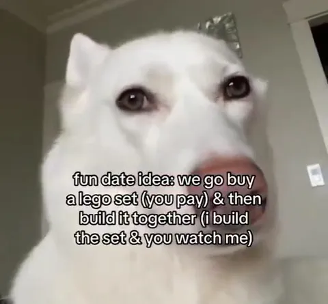 Fun Date Idea With a Dog